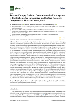 Surface Canopy Position Determines the Photosystem II Photochemistry in Invasive and Native Prosopis Congeners at Sharjah Desert, UAE