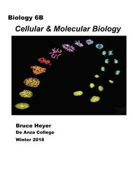 Cellular & Molecular Biology