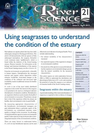 Using Seagrasses to Understand the Condition of the Estuary