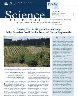 Planting Trees to Mitigate Climate Change: Policy Incentives Could Lead to Increased Carbon Sequestration