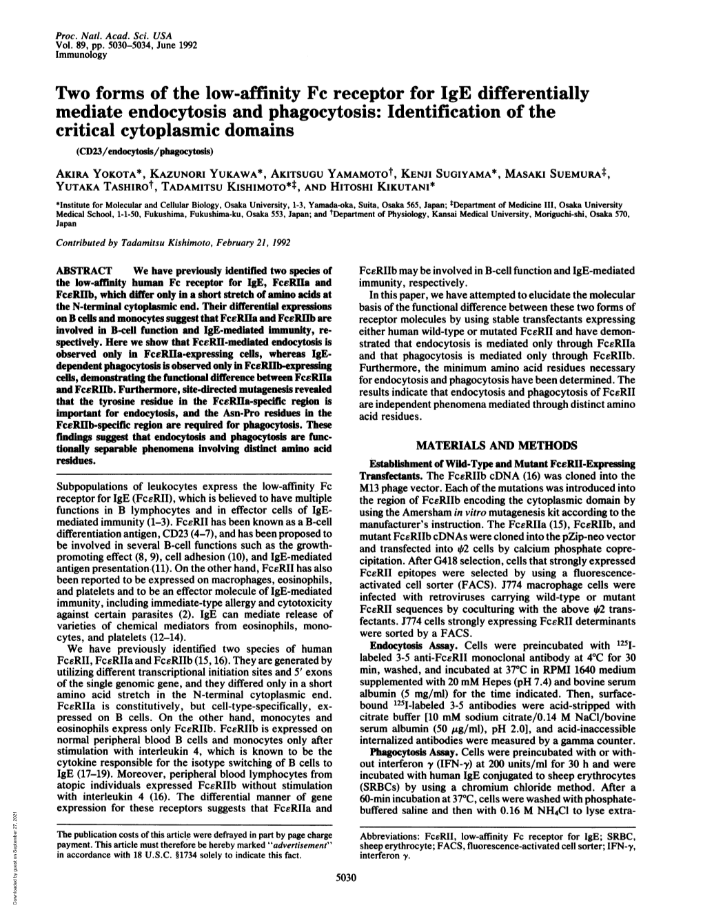 Mediate Endocytosis and Phagocytosis