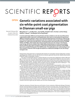 Genetic Variations Associated with Six-White-Point Coat Pigmentation In