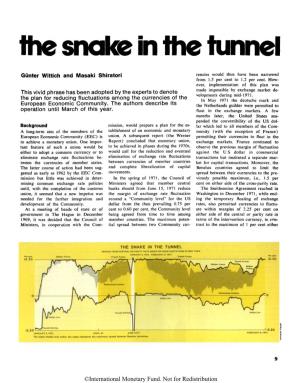 The Snake in the Tunnel