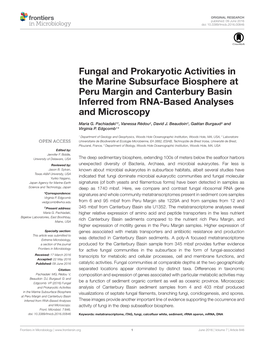 Fungal and Prokaryotic Activities in the Marine Subsurface Biosphere at Peru Margin and Canterbury Basin Inferred from RNA-Based Analyses and Microscopy
