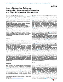 Loss of Schooling Behavior in Cavefish Through Sight-Dependent