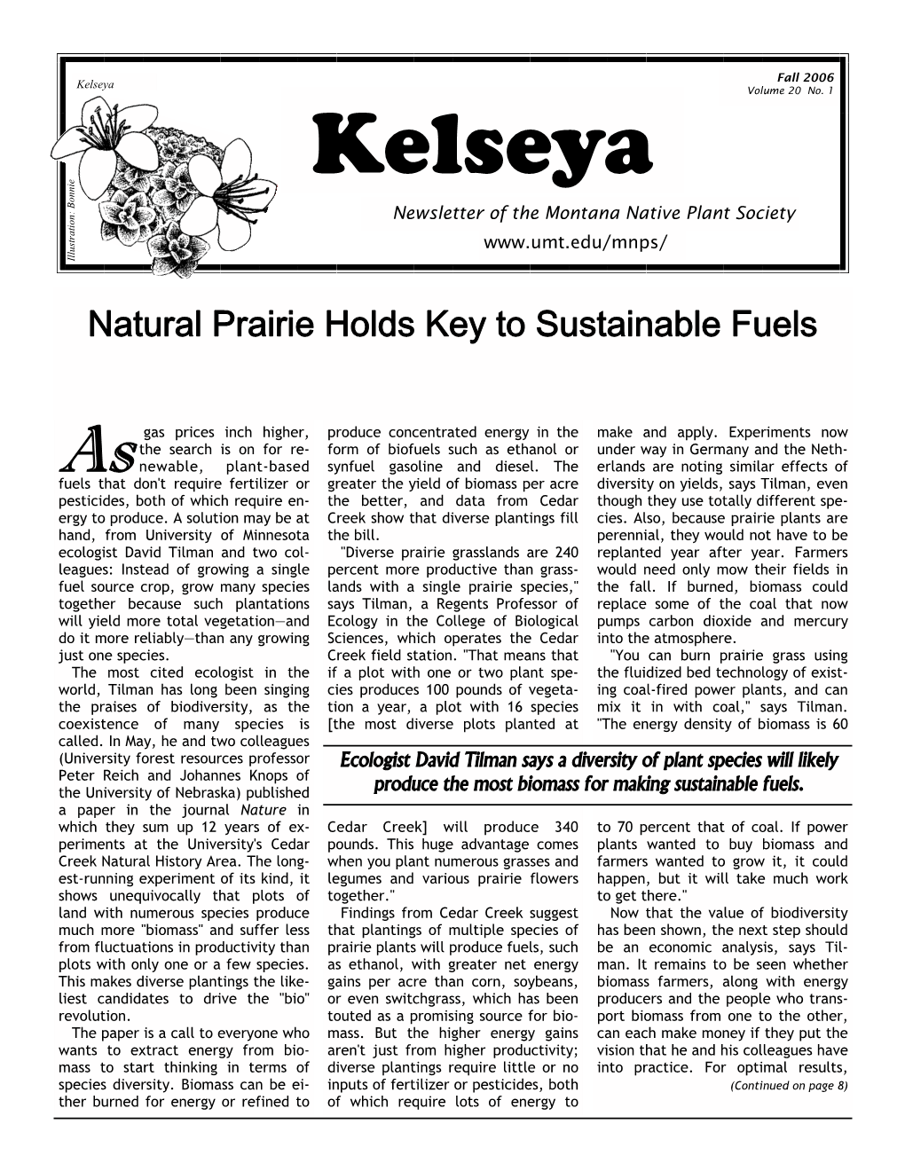 Fall 2006 Kelseya