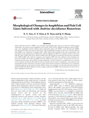 Morphological Changes in Amphibian and Fish Cell Lines Infected with Andrias Davidianus Ranavirus