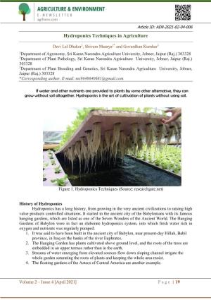 Hydroponics Techniques in Agriculture