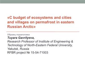 «C Budget of Ecosystems and Cities and Villages on Permafrost in Eastern Russian Arctic»