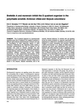 Brefeldin a and Monensin Inhibit the D Quadrant Organizer in the Polychaete Annelids Arctonoe Vittata and Serpula Columbiana