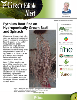 Pythium Root Rot on Hydroponically Grown Basil and Spinach