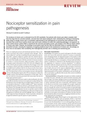 Nociceptor Sensitization in Pain Pathogenesis