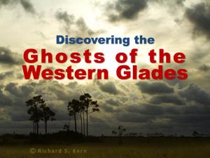 Ghosts of the Western Glades Just Northwest of Everglades National Park Lies Probably the Wildest, Least Disturbed Natural Area in All of Florida