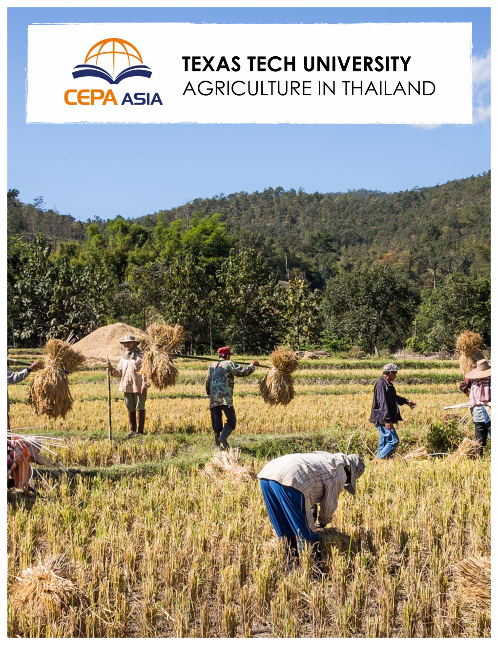 Agriculture in Thailand