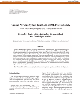 Central Nervous System Functions of PAK Protein Family from Spine Morphogenesis to Mental Retardation