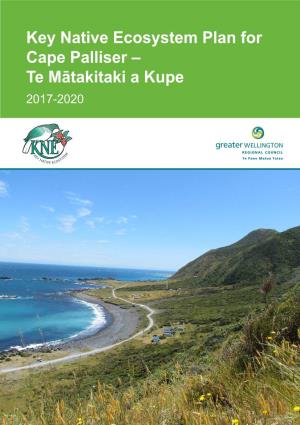 Key Native Ecosystem Plan for Cape Palliser – Te Mātakitaki a Kupe 2017-2020