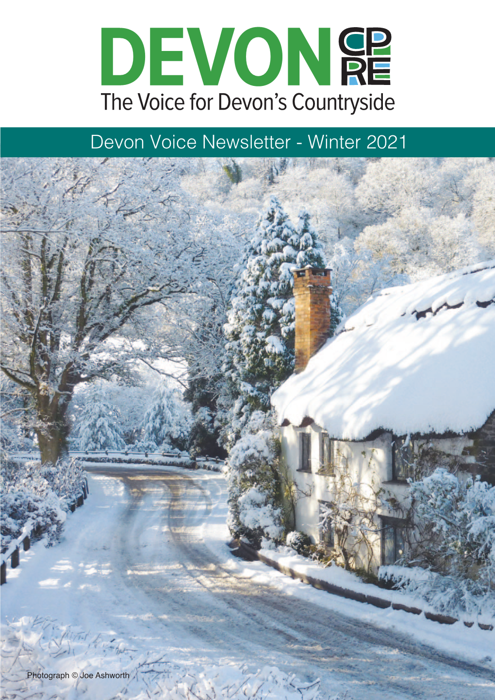 Devon Voice Newsletter - Winter 2021