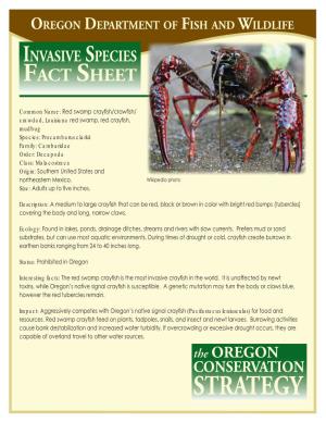 Red Swamp Crayfish Fact Sheet
