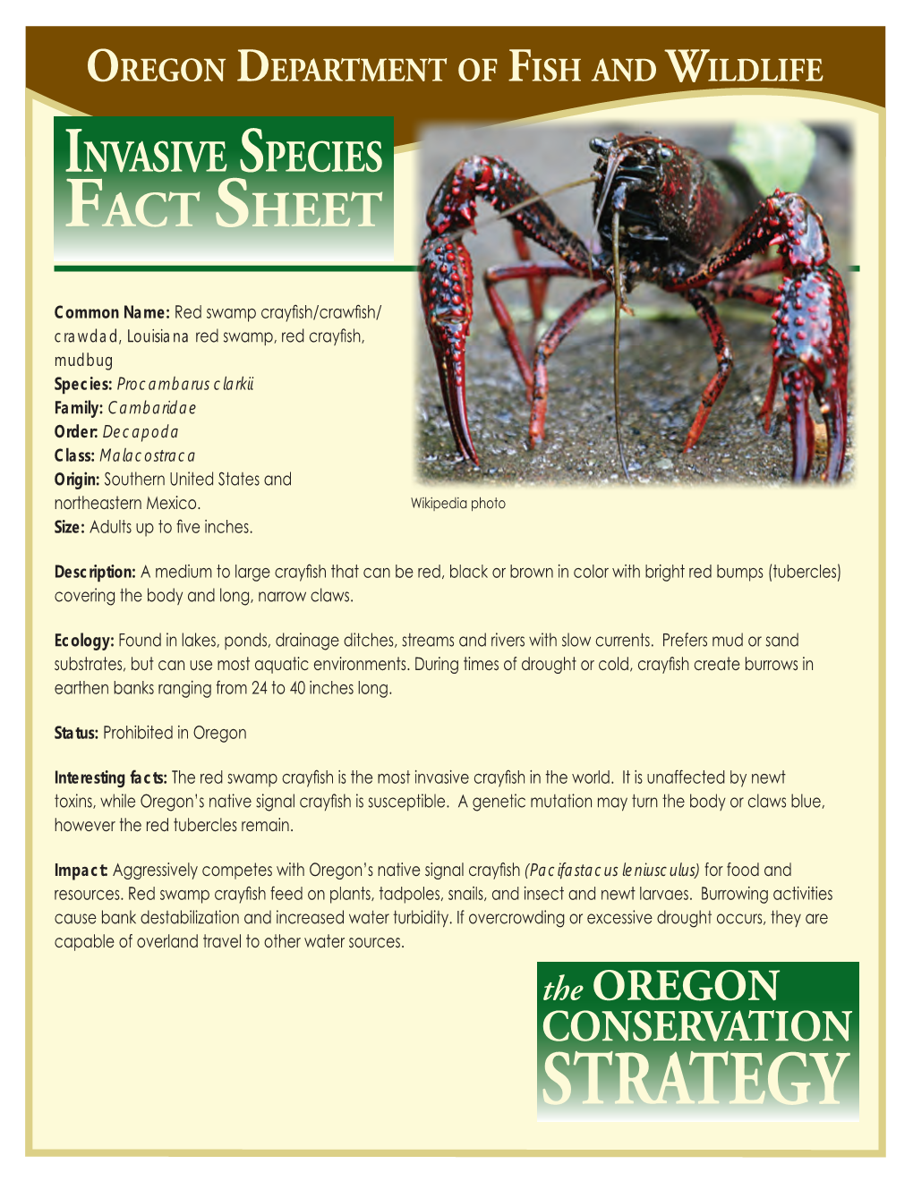 Red Swamp Crayfish Fact Sheet - DocsLib