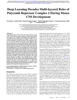 Deep Learning Decodes Multi-Layered Roles of Polycomb Repressor Complex 2 During Mouse CNS Development