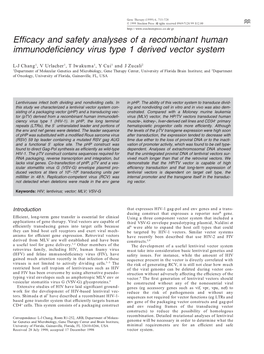 Efficacy and Safety Analyses of a Recombinant Human Immunodeficiency Virus Type 1 Derived Vector System
