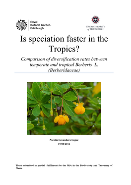 Is Speciation Faster in the Tropics?