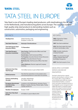 TATA 3209 Tata Steel in Europe Factsheet ENG