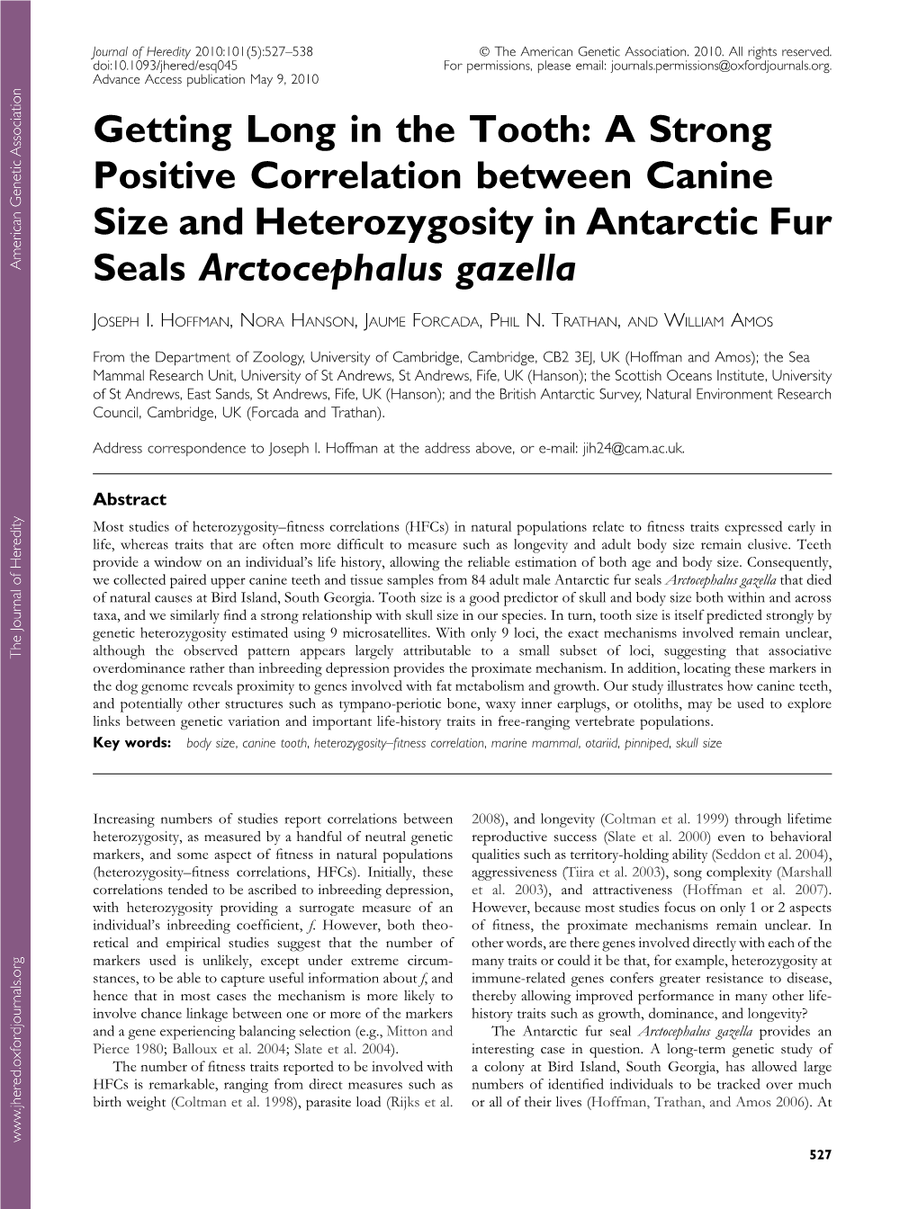 A Strong Positive Correlation Between Canine Size and Heterozygosity in Antarctic Fur Seals Arctocephalus Gazella Downloaded from JOSEPH I