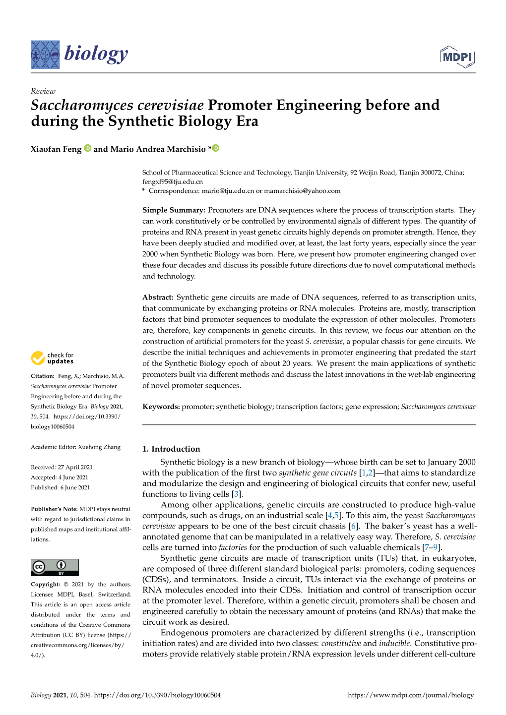 Saccharomyces Cerevisiae Promoter Engineering Before and During the Synthetic Biology Era