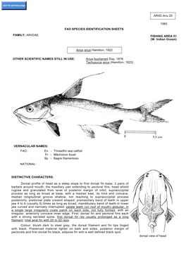 ARIID Ariu 20 1983 FAO SPECIES IDENTIFICATION SHEETS FAMILY