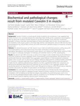Biochemical and Pathological Changes Result from Mutated Caveolin-3 in Muscle José Andrés González Coraspe1, Joachim Weis1, Mary E