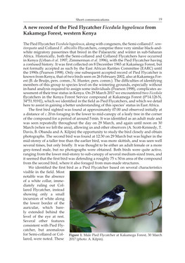 A New Record of the Pied Flycatcher Ficedula Hypoleuca from Kakamega Forest, Western Kenya