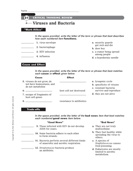 Viruses and Bacteria