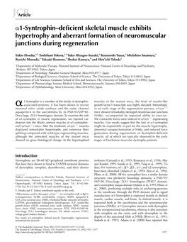 1-Syntrophin–Deficient Skeletal Muscle Exhibits Hypertrophy And