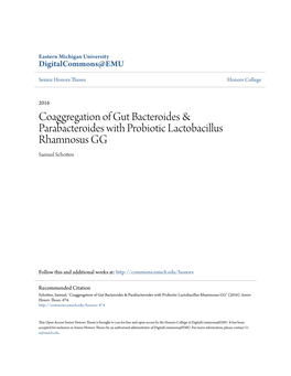 Coaggregation of Gut Bacteroides & Parabacteroides with Probiotic Lactobacillus Rhamnosus GG Samuel Schotten