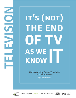 Understanding Online Television and Its Audience
