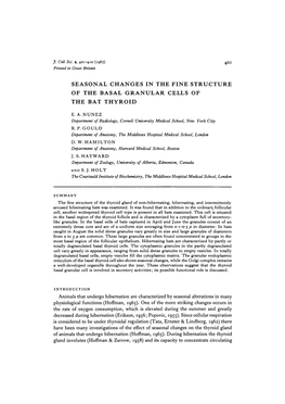 Seasonal Changes in the Fine Structure of the Basal