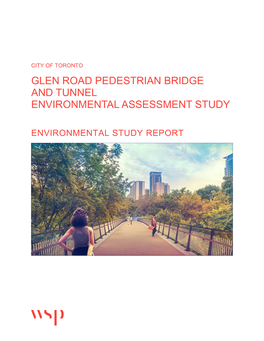 Glen Road Pedestrian Bridge and Tunnel Environmental Assessment Study