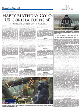 Happy Birthday Colo: US Gorilla Turns 60 the Nation’S Oldest Living Gorilla