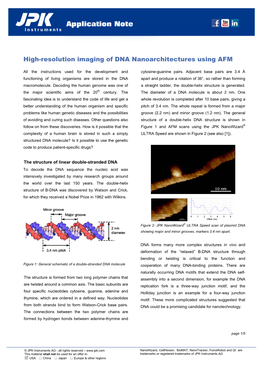 High-Resolution Imaging of DNA Nanoarchitectures Using AFM