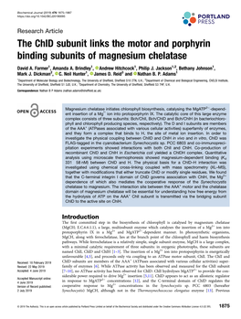 The Chld Subunit Links the Motor and Porphyrin Binding Subunits of Magnesium Chelatase