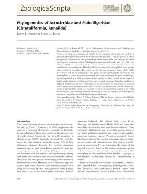 Phylogenetics of Acrocirridae and Flabelligeridae (Cirratuliformia, Annelida)