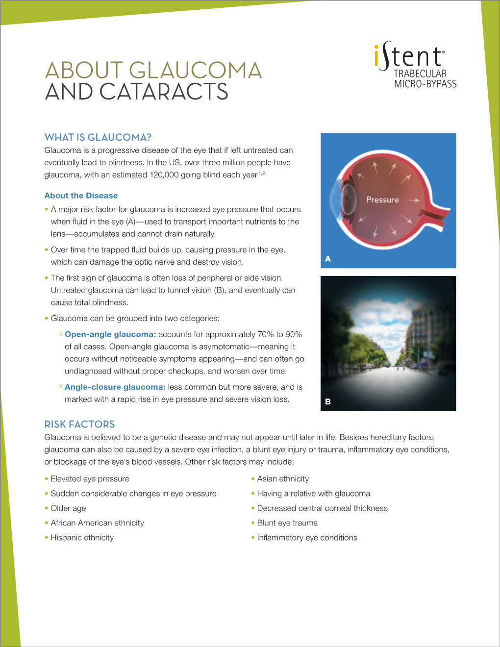 Fact Sheet Glaucoma