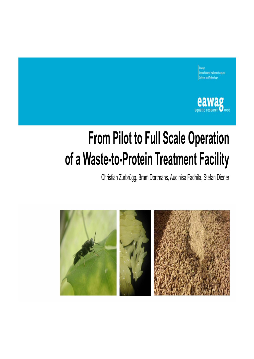 From Pilot to Full Scale Operation of a Waste-To-Protein Treatment Facility