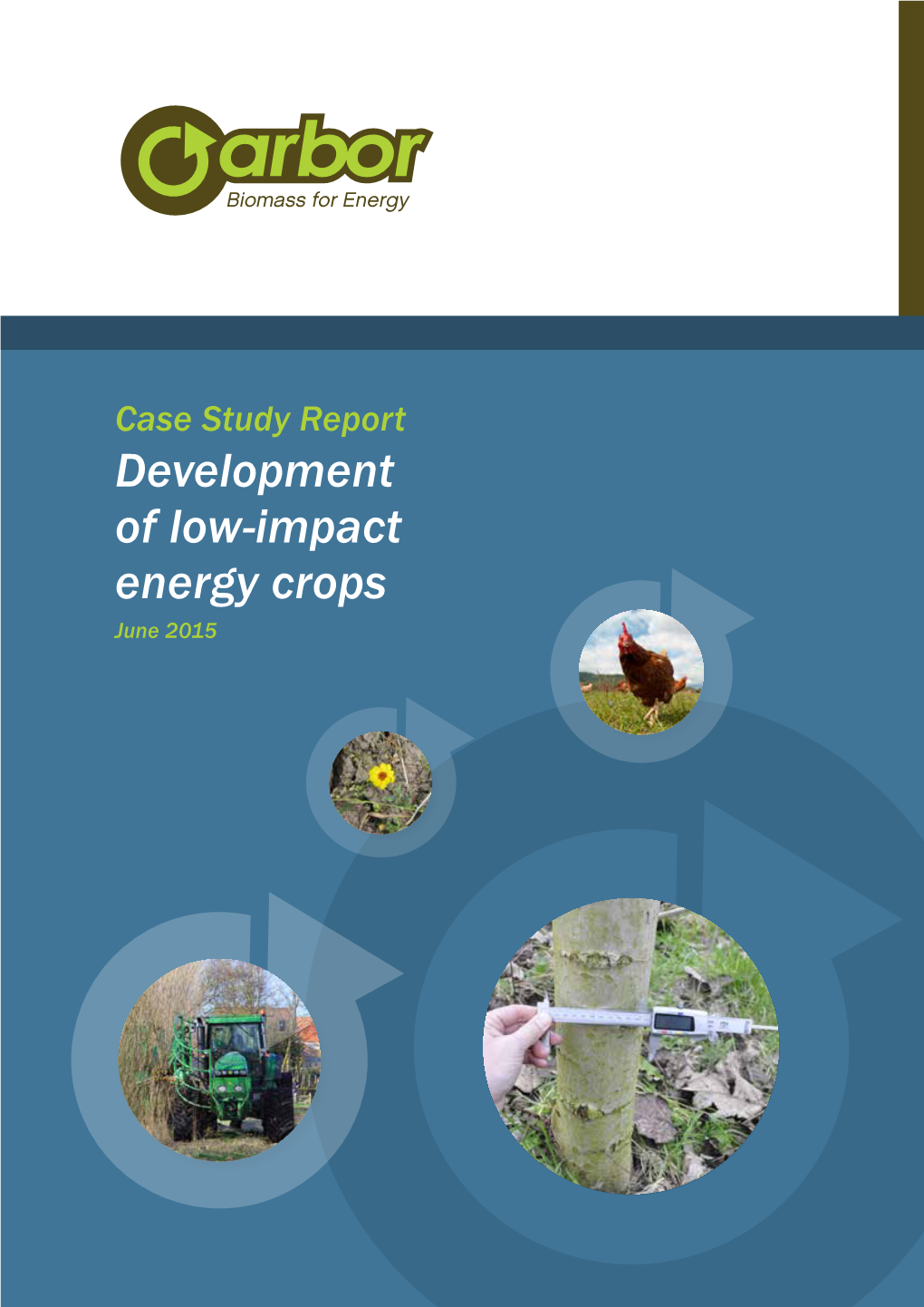 Development of Low-Impact Energy Crops June 2015 Improving Sustainable Biomass Utilisation in North West Europe