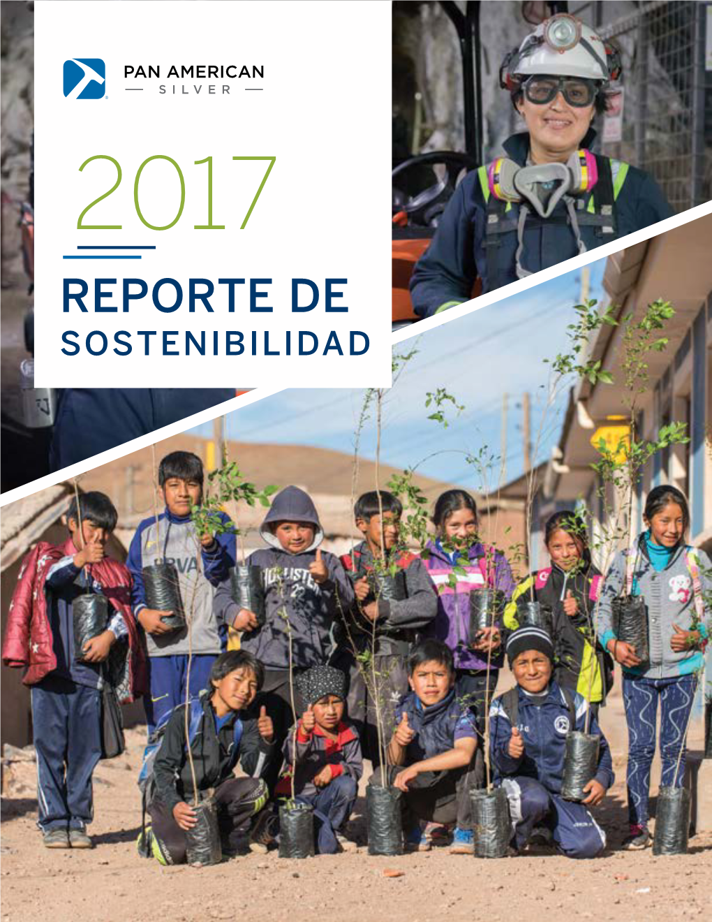 Reporte De Sostenibilidad Reporte De Sostenibilidad 2017 2