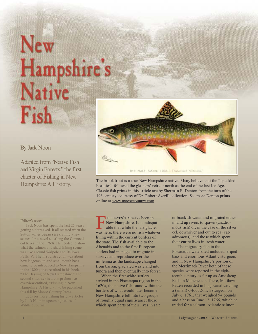 NH's Native Fish