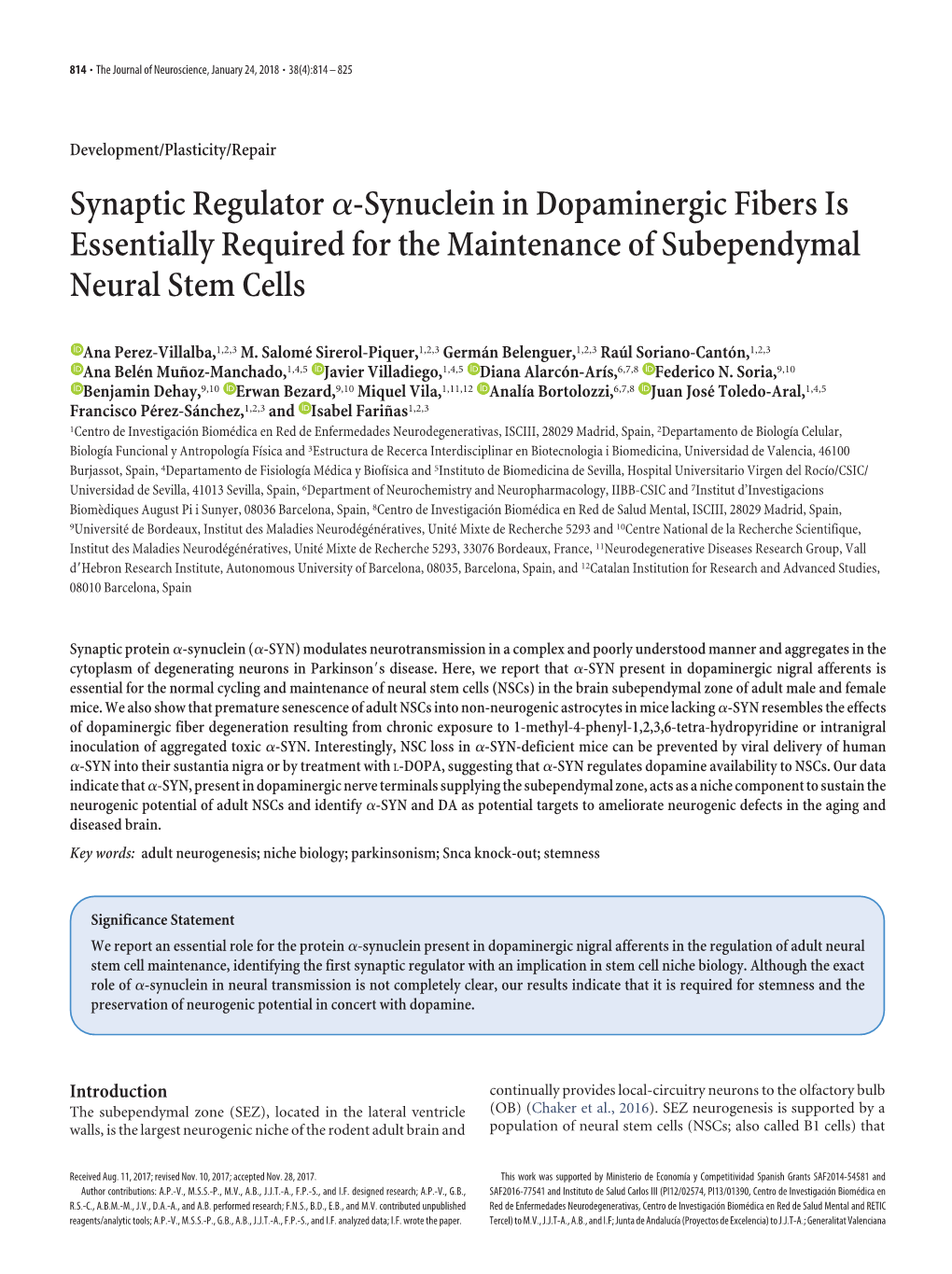 Synaptic Regulator Α-Synuclein in Dopaminergic Fibers Is Essentially Required for the Maintenance of Subependymal Neural Stem C