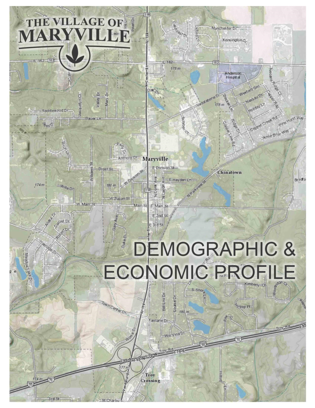 Community Profile/Demographic Information