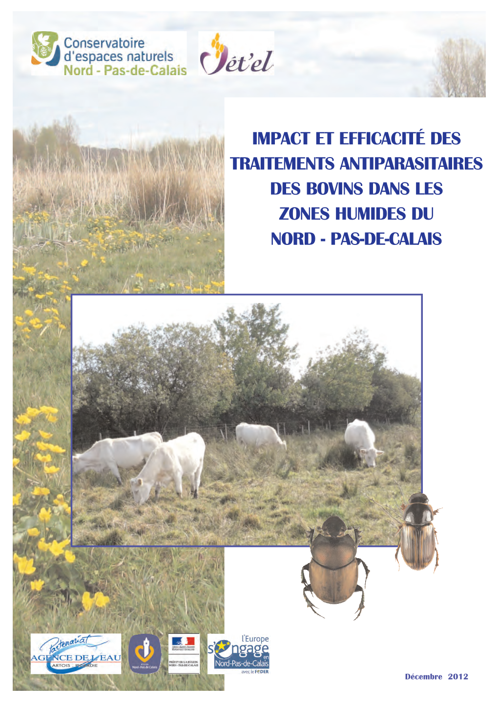 Impact Et Efficacité Des Traitements Antiparasitaires Des Bovins Dans Les Zones Humides Du Nord - Pas-De-Calais